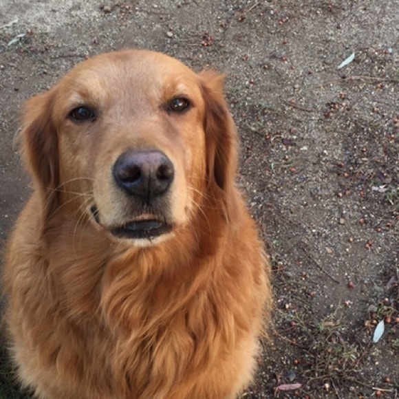 Meet your Posher, Emily - Picture 1 of 1